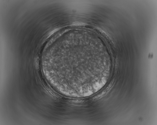 X0000097601401200803280940