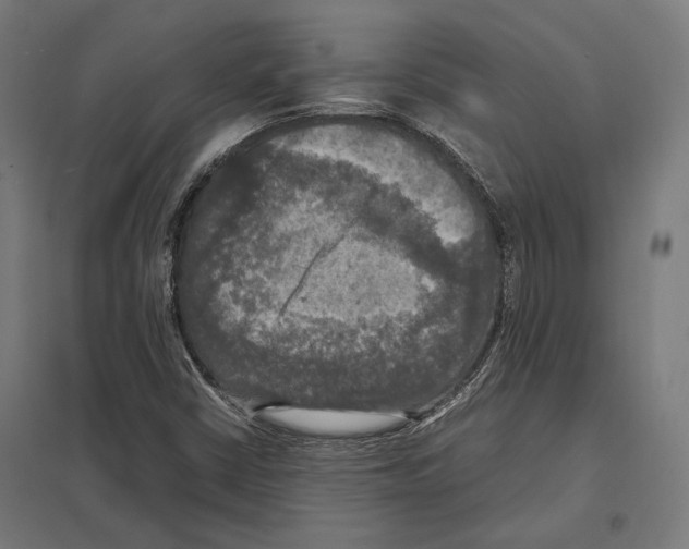 X0000097601402200803280940