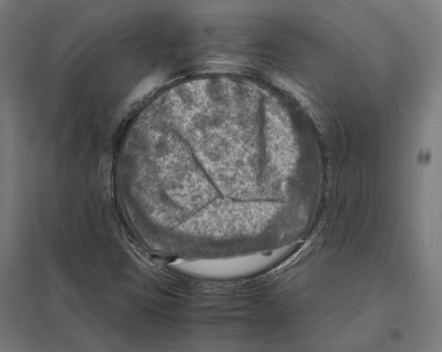 X0000097601403200803280940