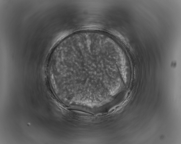 X0000097601405200803280940