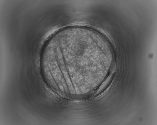 X0000097601406200803280940