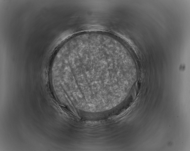 X0000097601407200803280940