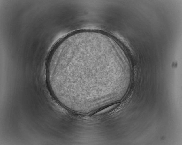 X0000097601408200803280940