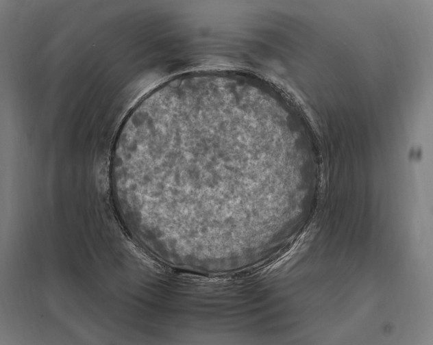 X0000097601409200803280940