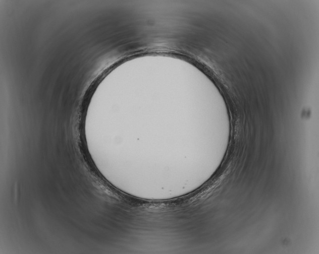 X0000097601410200803280940