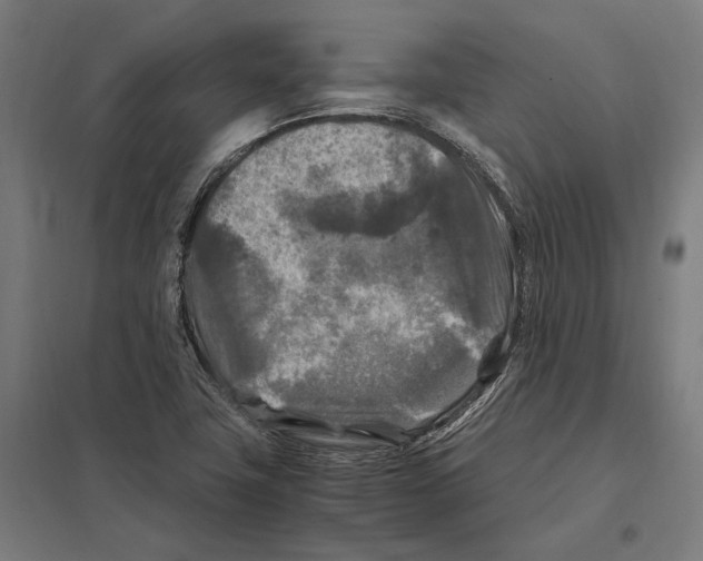 X0000097601411200803280940