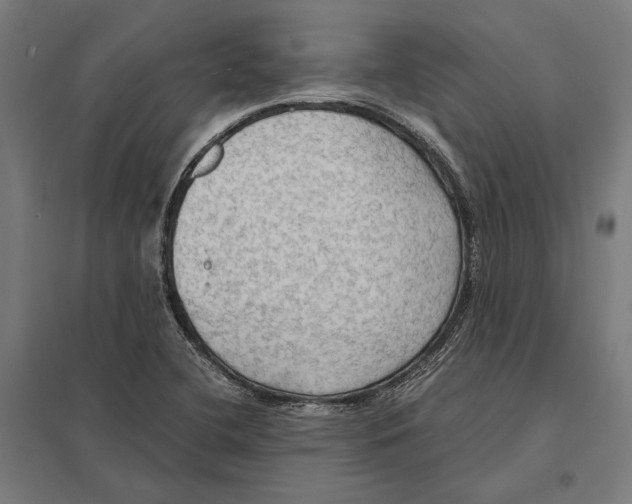 X0000097601412200803280940