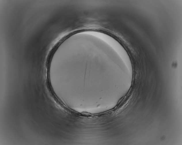 X0000097601414200803280940