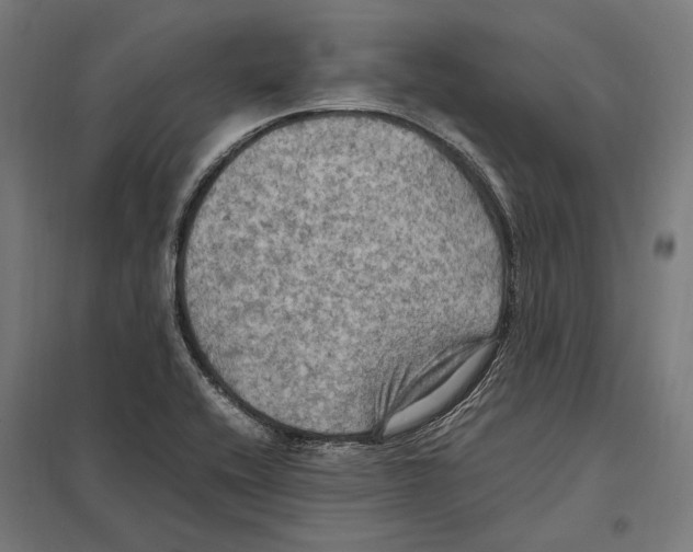 X0000097601416200803280940