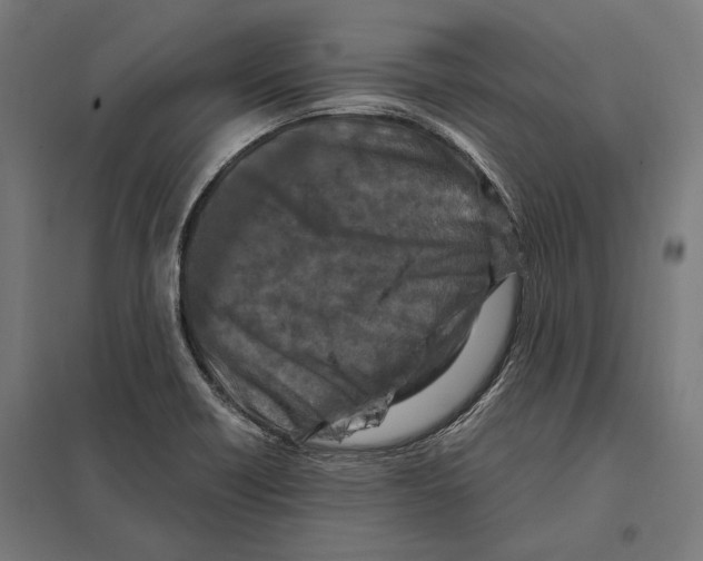 X0000097601418200803280940