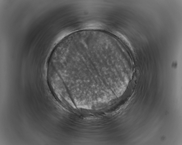 X0000097601419200803280940