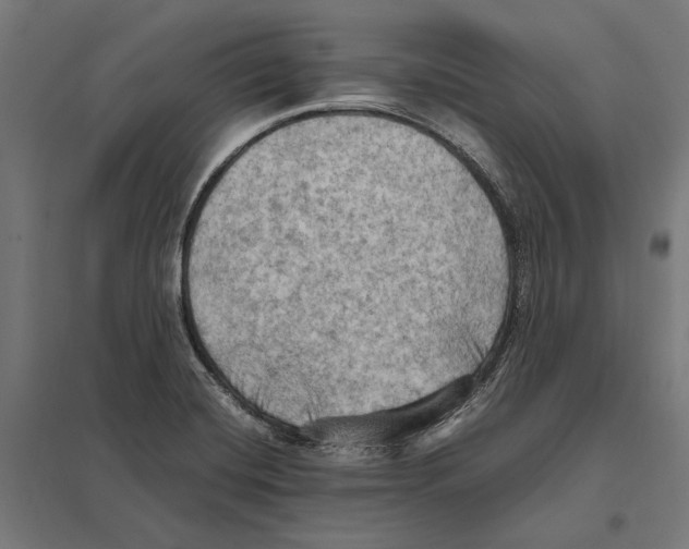 X0000097601420200803280940