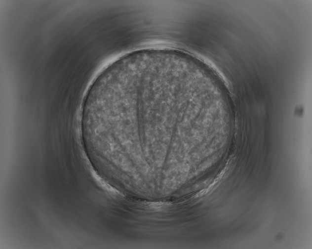 X0000097601421200803280940