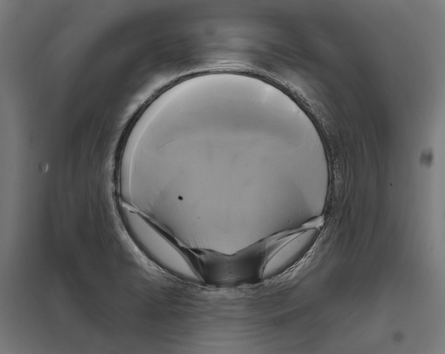 X0000097601422200803280940