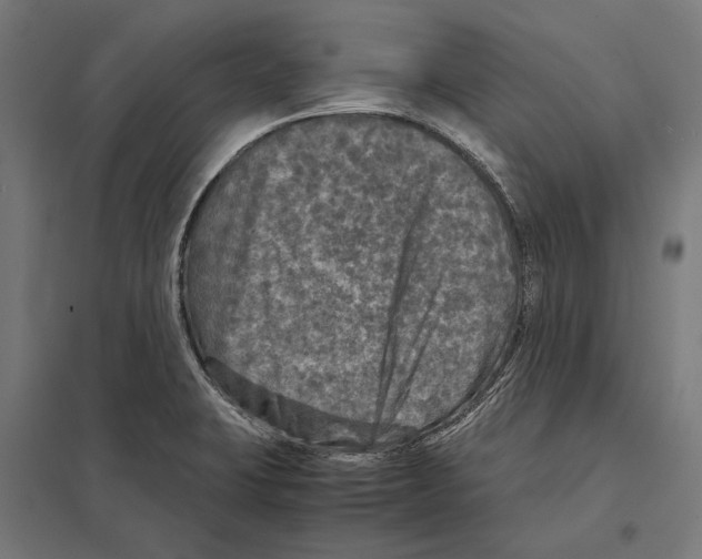 X0000097601423200803280940