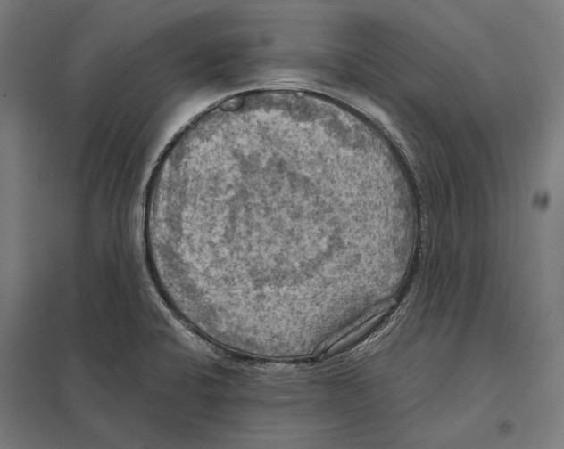 X0000097601424200803280940