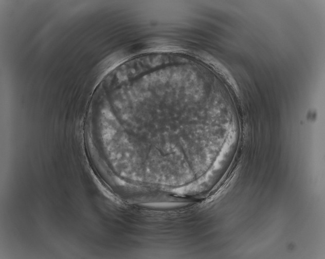 X0000097601425200803280940