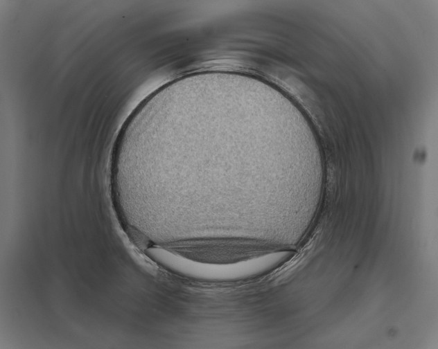 X0000097601426200803280940