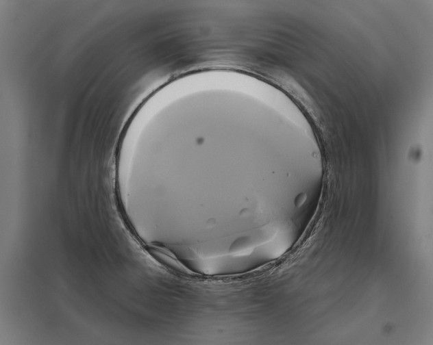 X0000097601428200803280940