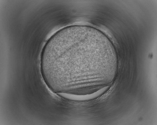 X0000097601430200803280940