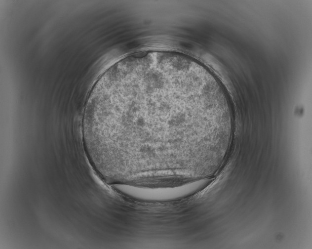 X0000097601433200803280940