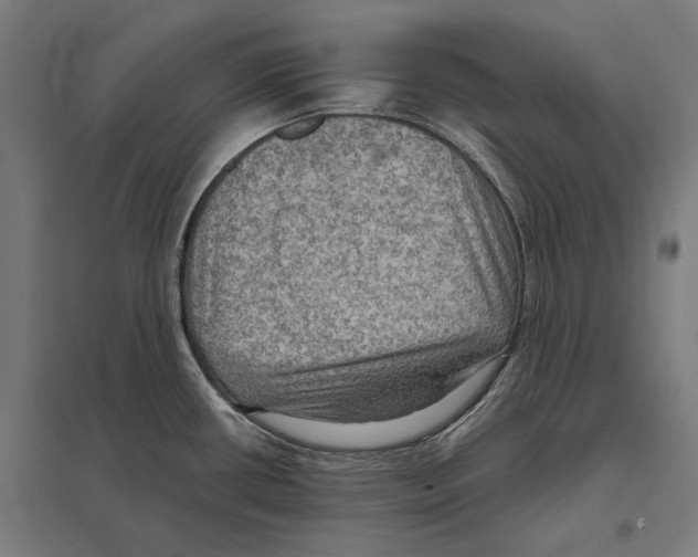 X0000097601434200803280940