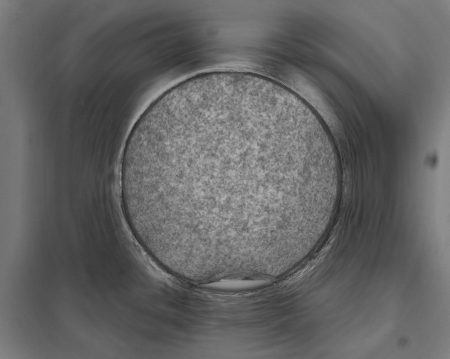 X0000097601436200803280940