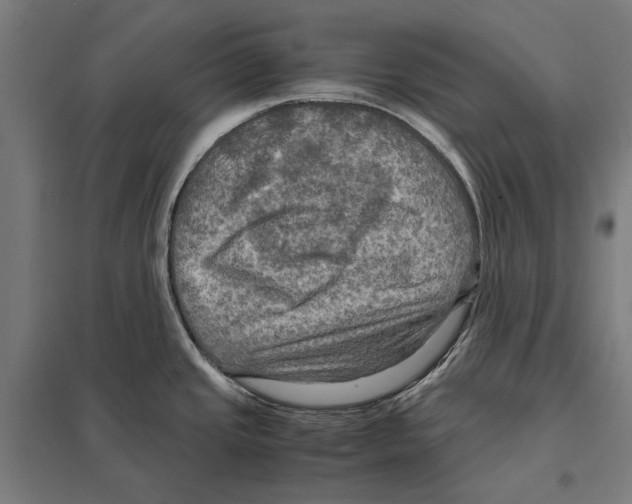 X0000097601437200803280940