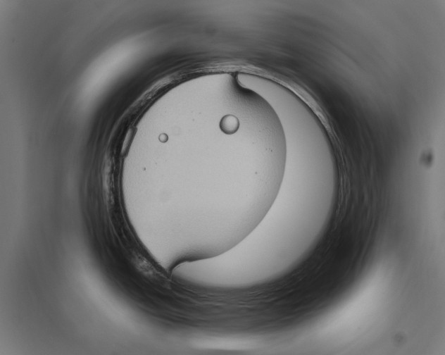 X0000097601438200803280940