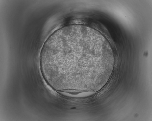 X0000097601439200803280940