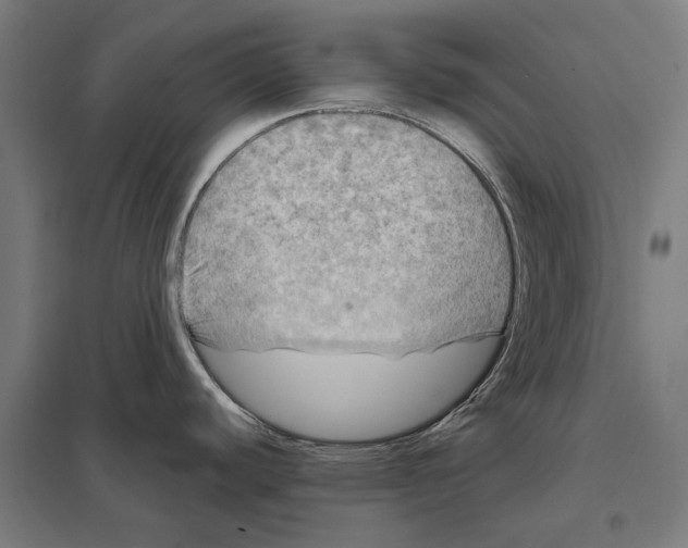 X0000097601440200803280940