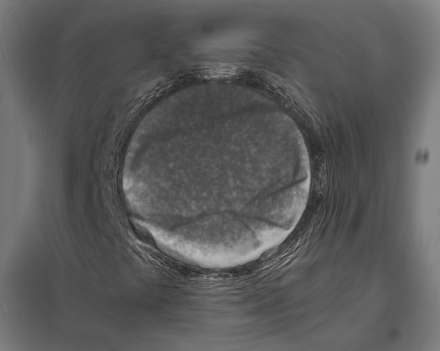 X0000097601441200803280940