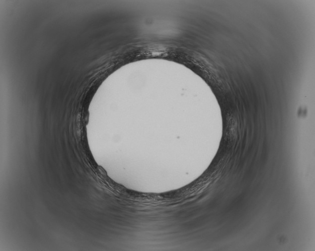 X0000097601442200803280940