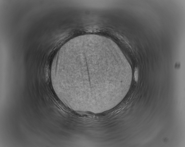 X0000097601444200803280940