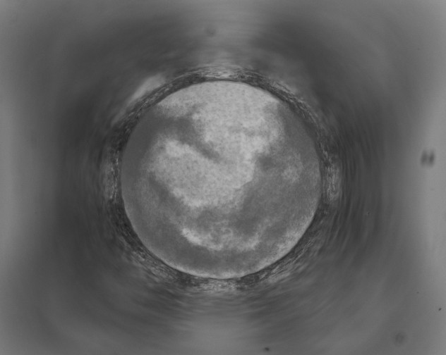 X0000097601446200803280940