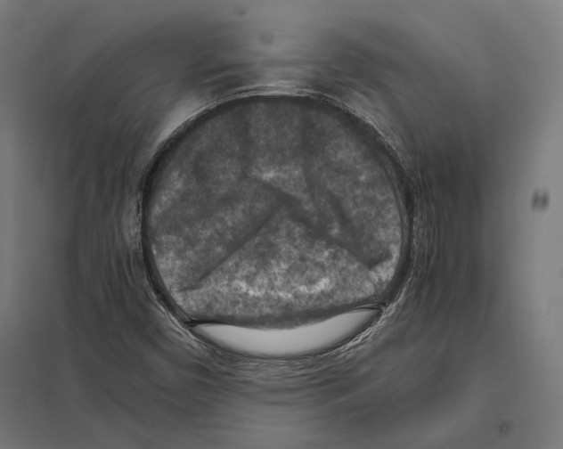 X0000097601450200803280940