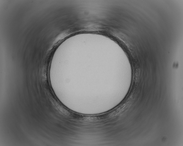 X0000097601451200803280940