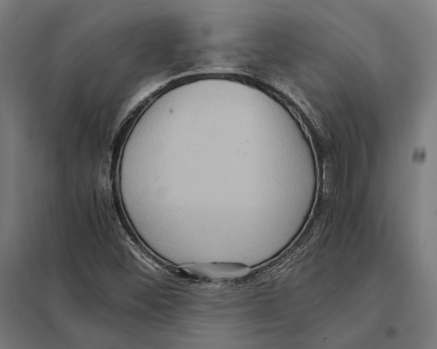 X0000097601452200803280940