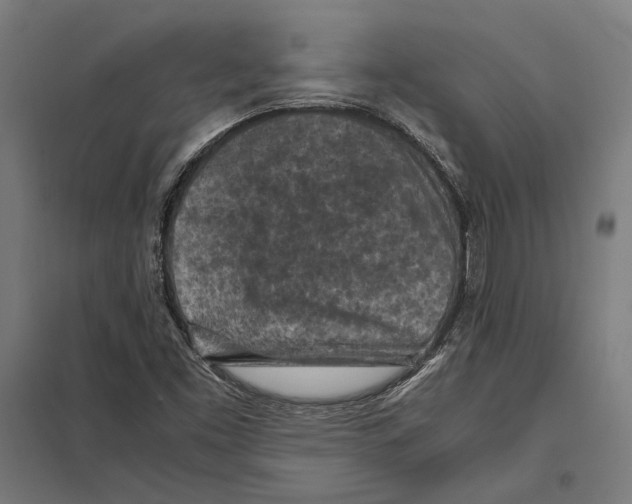 X0000097601453200803280940