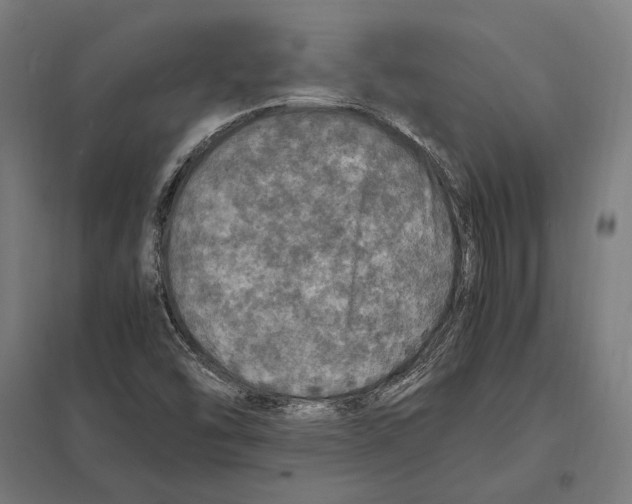 X0000097601454200803280940