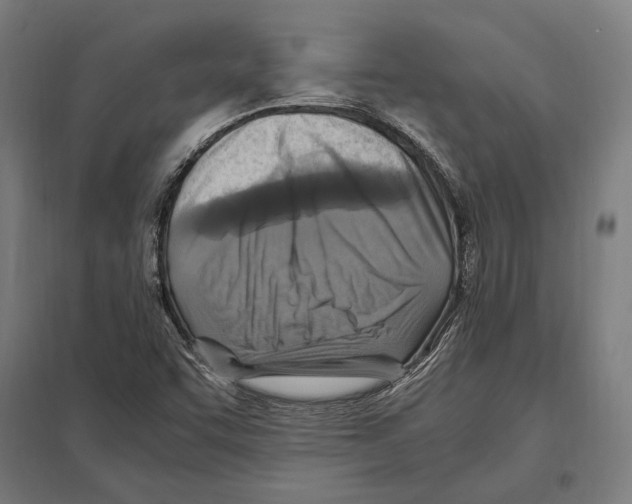 X0000097601455200803280940