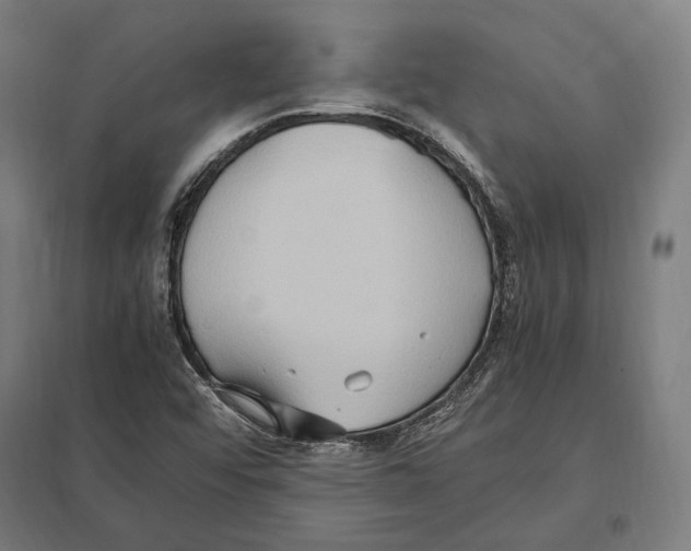 X0000097601456200803280940