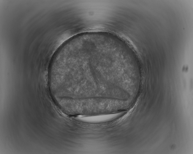 X0000097601457200803280940