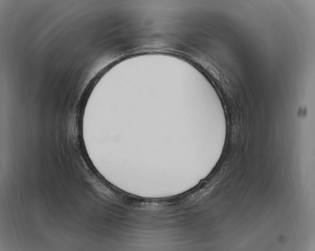 X0000097601458200803280940