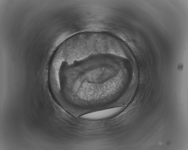 X0000097601459200803280940