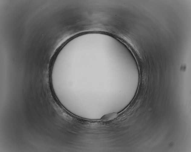 X0000097601460200803280940