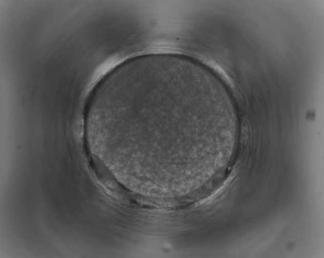 X0000097601461200803280940