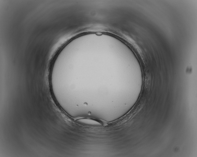 X0000097601464200803280940