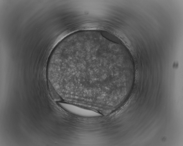 X0000097601465200803280939