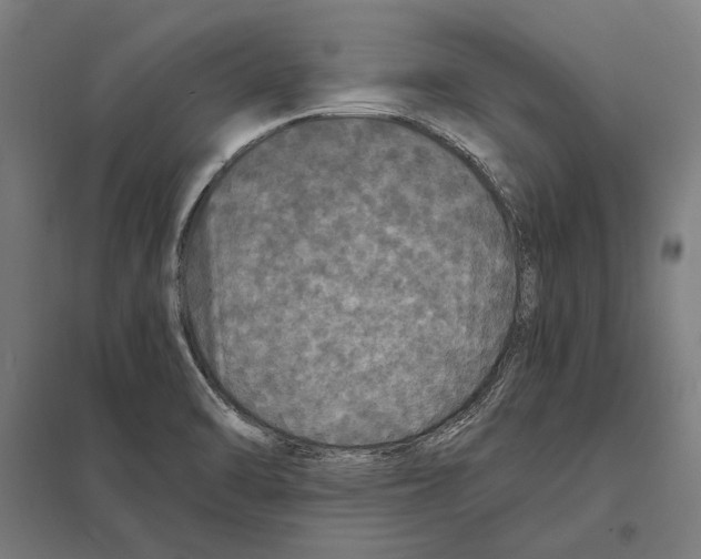 X0000097601470200803280939